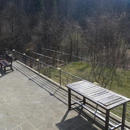 Pitty Sinaia